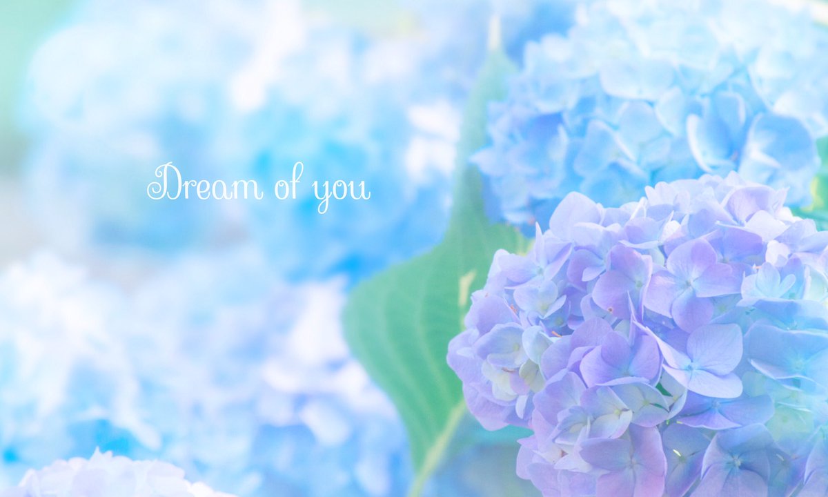 smile_for_m's tweet photo. ܀

　　      𝙸'𝚕𝚕 𝚍𝚛𝚎𝚊𝚖 𝚘𝚏 𝚢𝚘𝚞..
　　　　　　　　　　　　　　     𓂃܀𓈒 https://t.co/Iz3isAHj54
