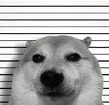 BOGE Raids tweet media