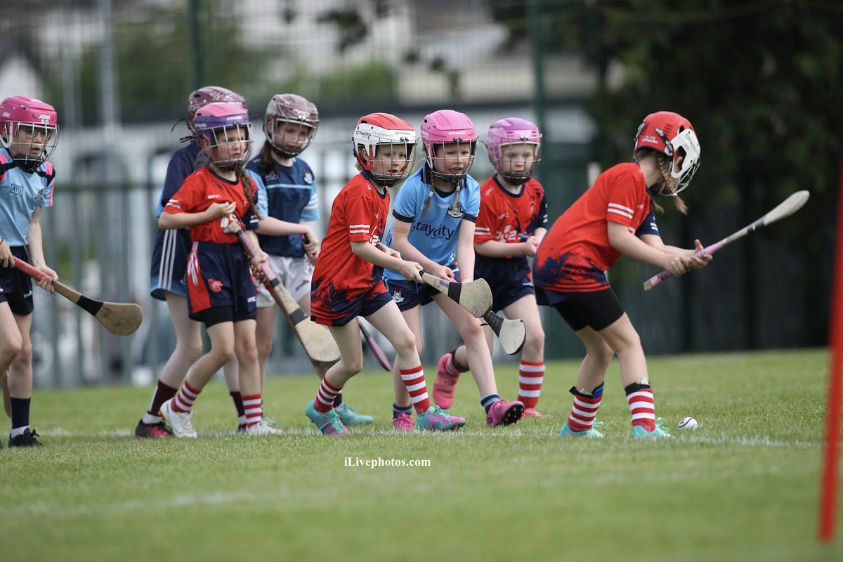 iLivePhotos (@ilivephotos) on Twitter photo U8 Half Time Games at the Glen Dimplex All Ireland Senior Camogie Championship <a href="/CamogieDublin/">Dublin Camogie</a> v <a href="/ClareCamogie/">OfficialClareCamogie</a> <a href="/Peregrinesgaa/">St. Peregrines GAA</a> 01.06.24
📸 <a href="/ilivephotos/">iLivePhotos</a> U8 Half Time Games at the Glen Dimplex All Ireland Senior Camogie Championship <a href="/CamogieDublin/">Dublin Camogie</a> v <a href="/ClareCamogie/">OfficialClareCamogie</a> <a href="/Peregrinesgaa/">St. Peregrines GAA</a> 01.06.24
📸 <a href="/ilivephotos/">iLivePhotos</a>