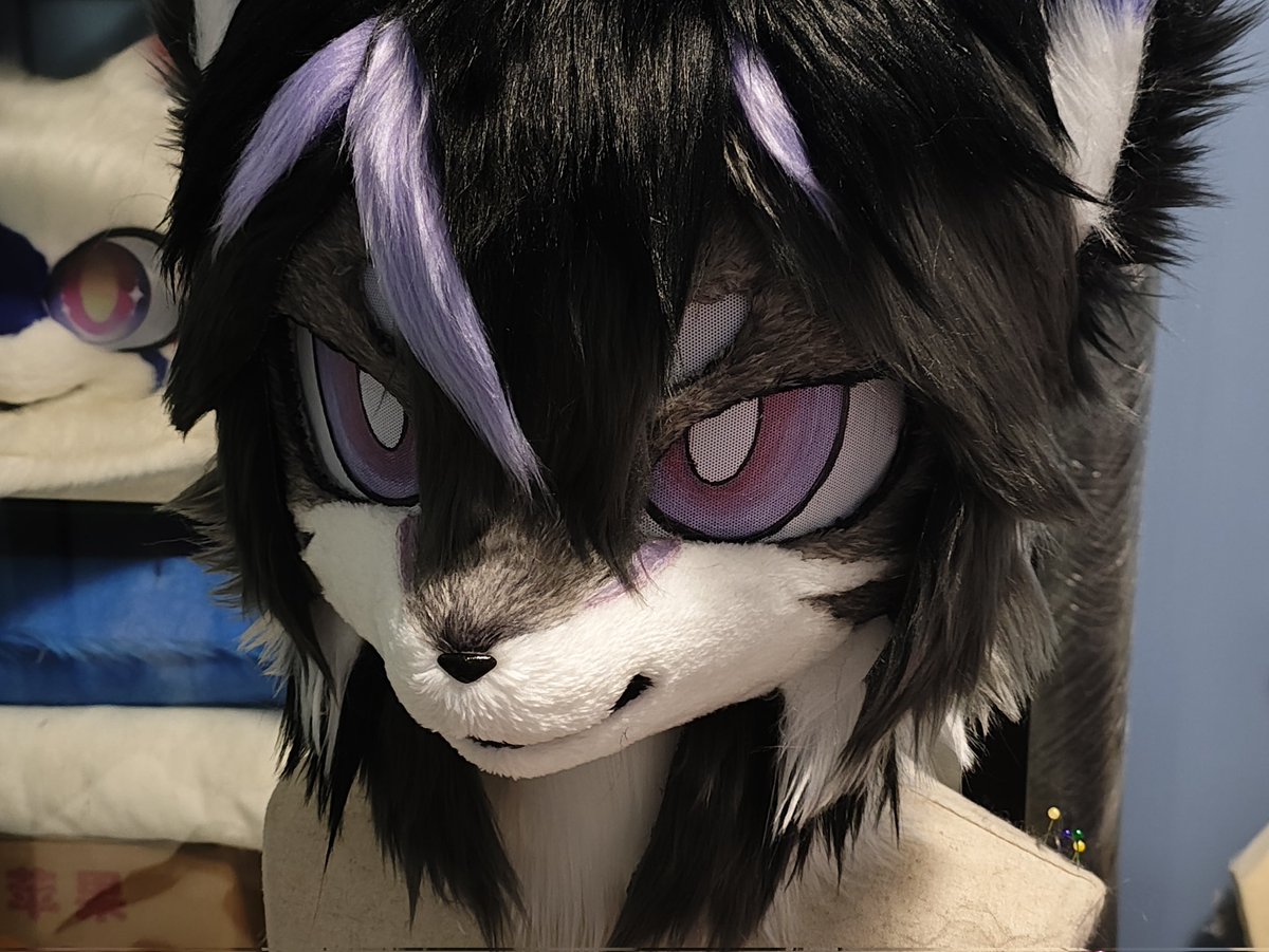 mushengFurry's tweet photo. ✨✨【fursuit premade】✨✨
⭐️This head was made by my friend and I am helping him sell it
✨The selling price is $500✨
❗️The wearer needs to have a head height of less than 25cm and a head circumference of less than 60cm
#fursuit #兽装 #兽装师 #furrypride #fursuiter https://t.co/JiPUT9pb3U