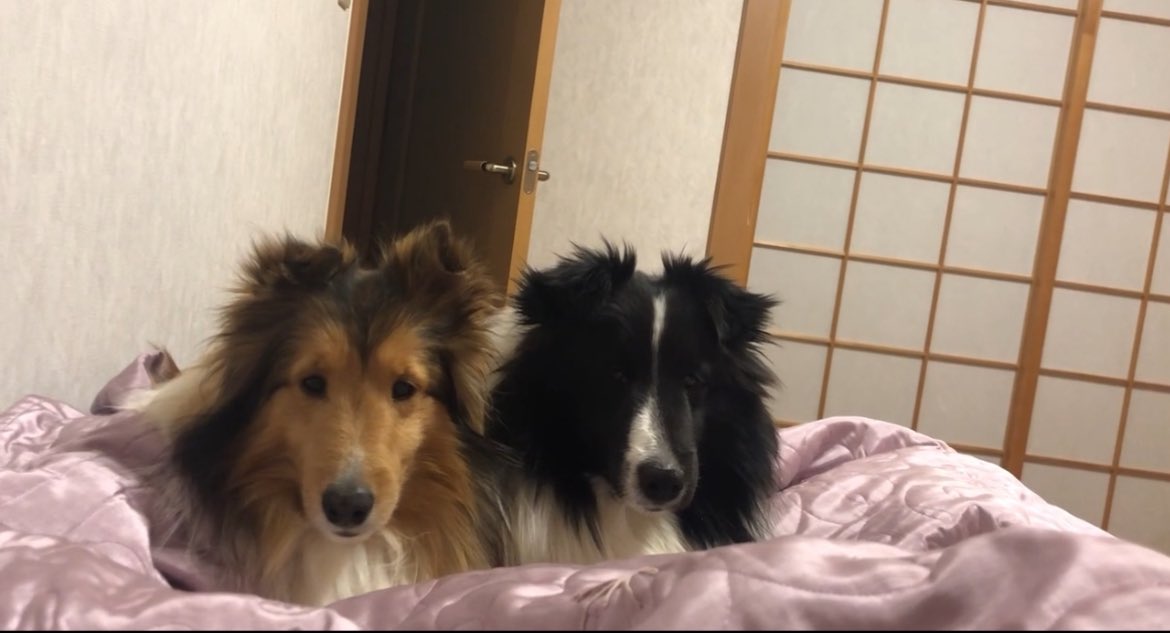 isowanwan's tweet photo. 大好き
逢いたい
本当に会いたい。
神様がいるなら、
どうか、にんちゃんに
あわせてください。 https://t.co/efYdI9lBji