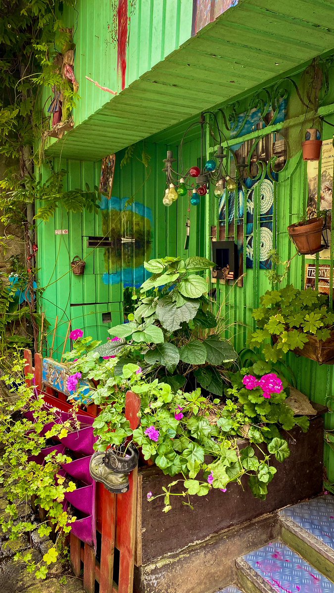 PercyFagg's tweet photo. #AlphabetChallenge #WeekV Verdant https://t.co/ygiLHkMYg0
