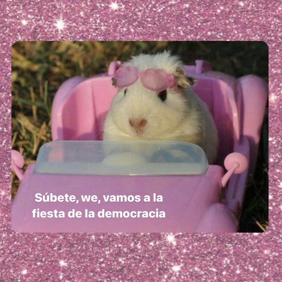 margcorzo tweet picture