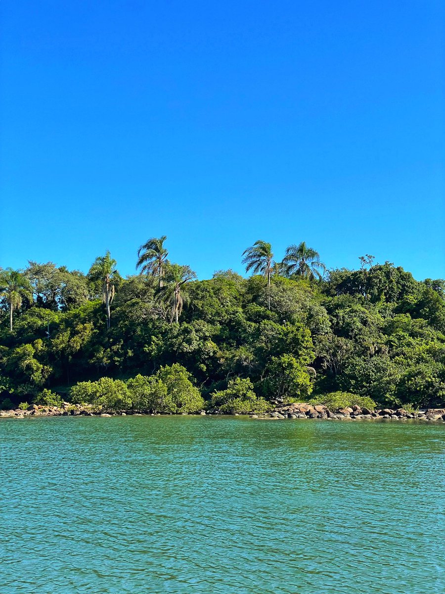 FabioPauluk's tweet photo. Fui curar a ressaca em Jurerê 🌞 https://t.co/nXwBN3B1ke