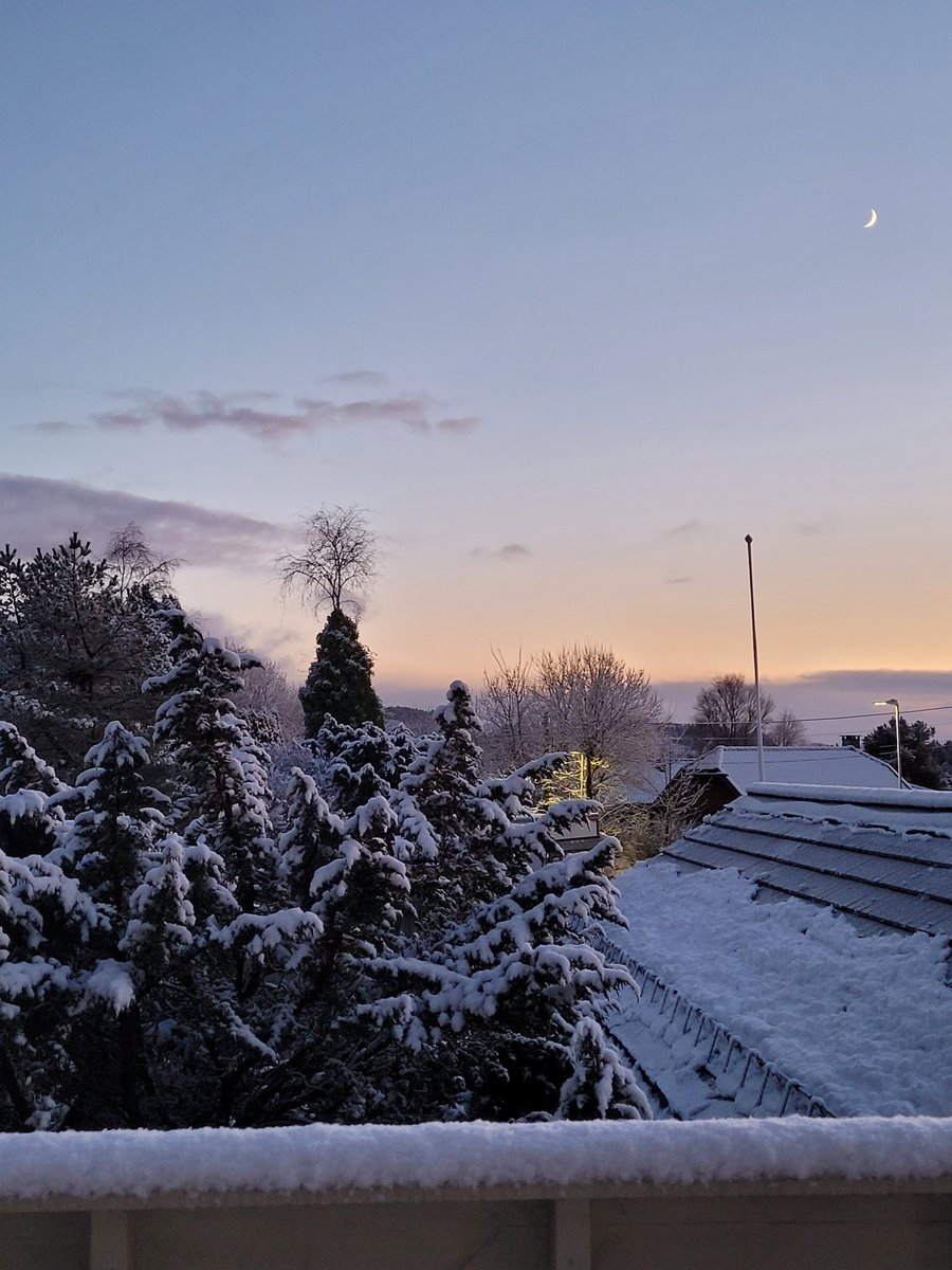 CPalmesen22275's tweet photo. @DailyPicTheme2 One winter and one summer #viewfrommyhouse ๐
#DailyPictureTheme https://t.co/YEkmQiJg6o