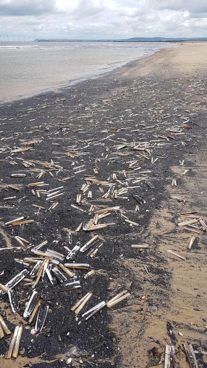 Joe Redfern tweet media