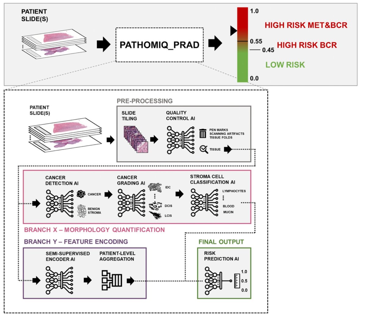 Zach Klaassen tweet media