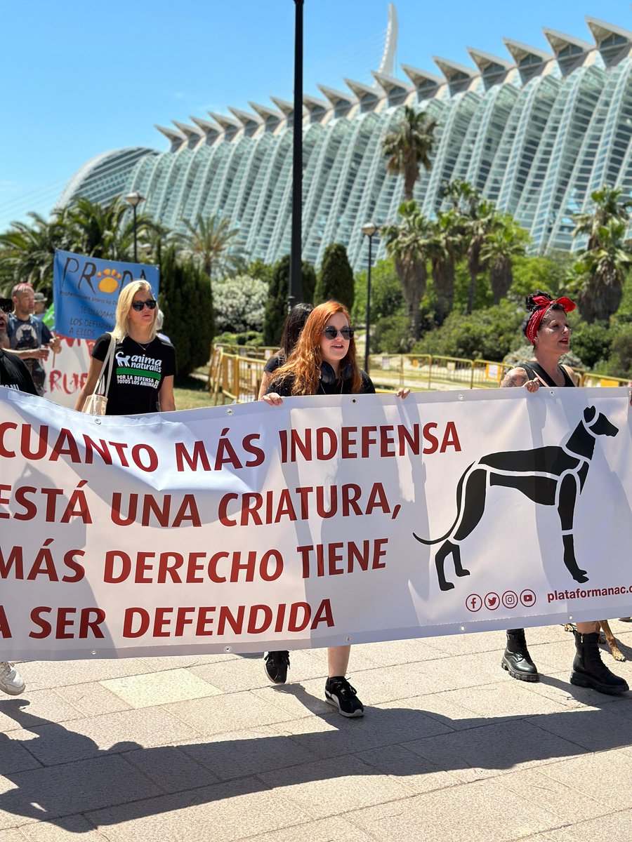 Esta mañana se ha celebrado en #valencia una #marcha contra el #MaltratoAnimal y en solidaridad con el pueblo de #chile y su demanda de una nueva #leylalito #JunsticiaAnimal10AñosDeCarcel