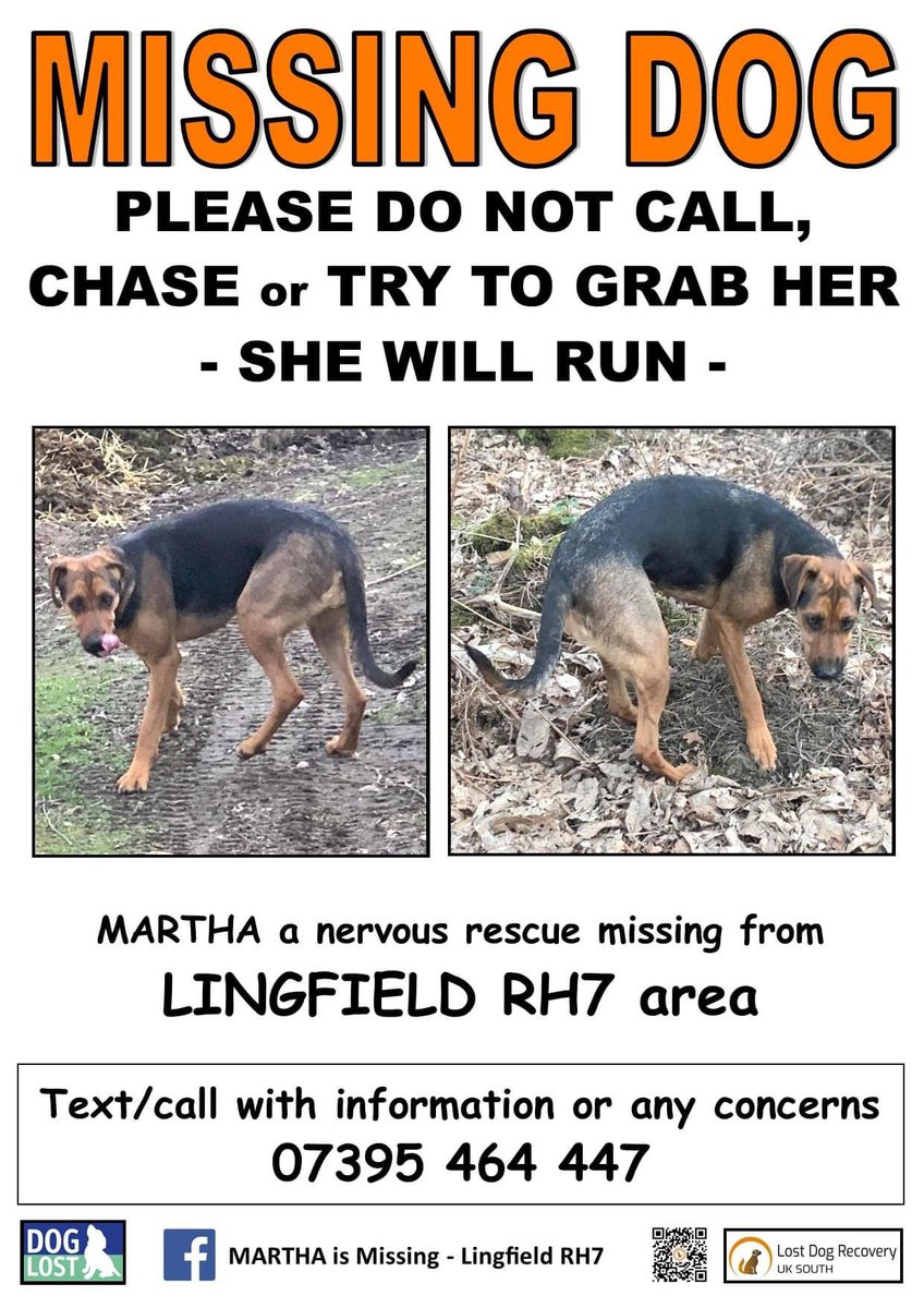 rosiedoc666's tweet photo. #StolenDogHour
Martha STILL MISSING
She disappeared in fields near home on 25/3/22 with another dog. He returned, she did not
No sightings...but it is a mainly rural area. Are you lost and wandering...possibly injured? #Lingfield #RH7
@RachaelB100 @BitofDecorum @millypod1 https://t.co/Gv9UCqvyCO