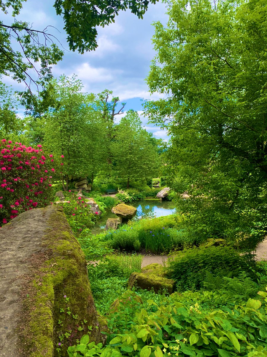 Tom Roberts tweet media