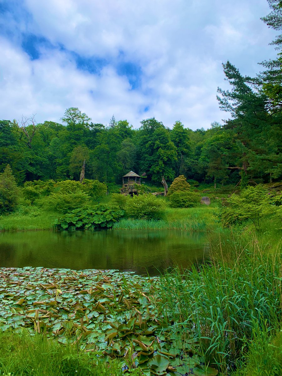 Tom Roberts tweet media