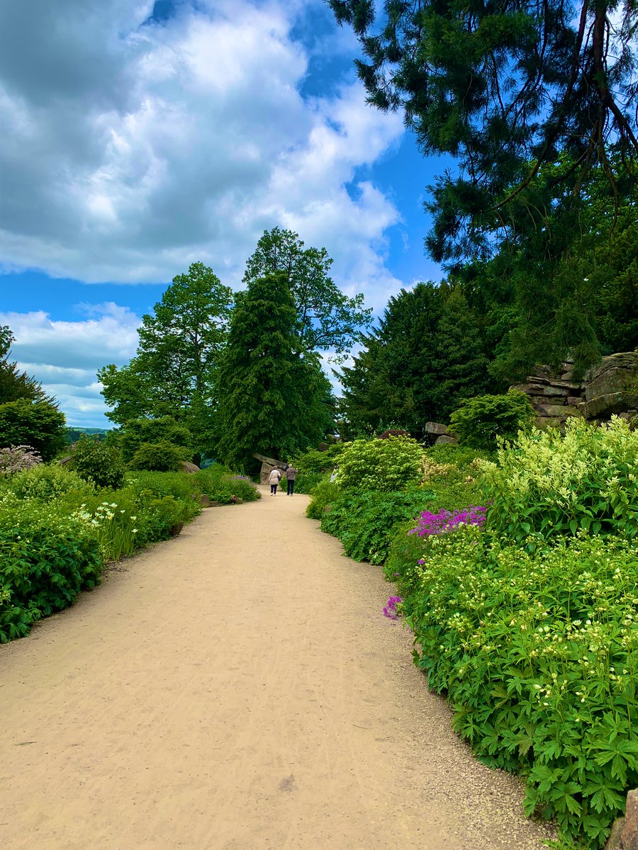 Tom Roberts tweet media