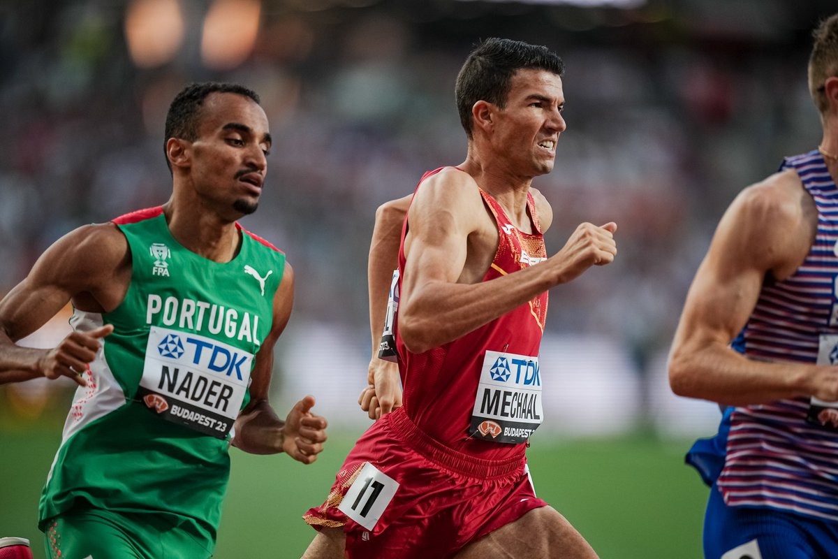 CarrerLliure's tweet photo. FIL🧵TOP⏱️de la SETMANA

@adelmechaal 1.500m+3.000m👉3:33.21 SB+7:37.28 SB

@estherrguerrero 1.500m👉4:03.72 SB

@josuecnles 800m👉1:46.20

@eriicguzz 800m👉1:47.59 SB

@Adammaijof 1.500m👉3:42.69 SB

@Antoniolsegura 1.500m👉3:43.09 SB

📸 @DMeumann.@sportmedia_es
segueix 👇 https://t.co/y4WaumdM9i