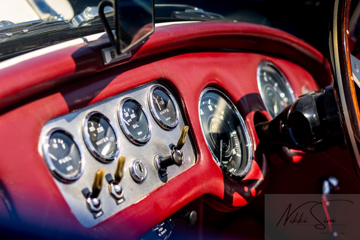 Nikki 🧡 tweet media