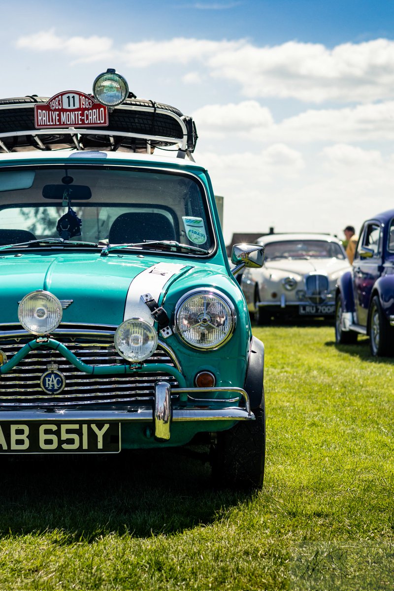 Nikki 🧡 tweet media