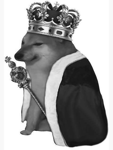 suavaess's tweet photo. @Yennii56 buying $BOGE 🖤 BLACK DOGE

CA: 8d2UY6dgnQq6qxFuGYRSnVzPVEMyZmc1amfN9cv3iA2e https://t.co/R8yQHUBS5Z