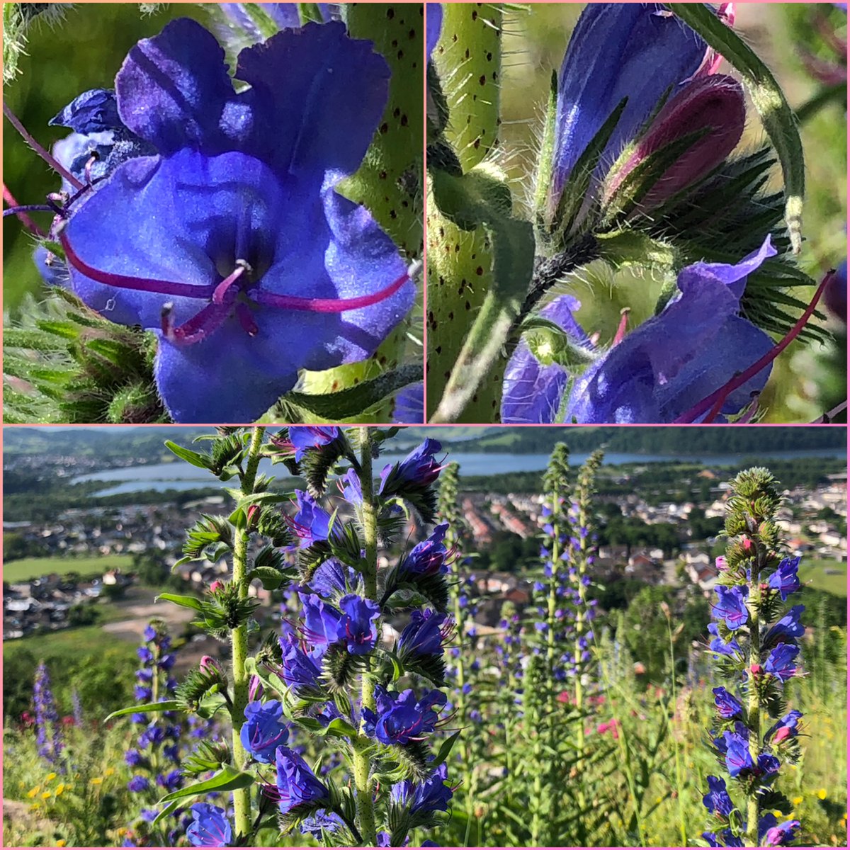 Michelle Clarke tweet media