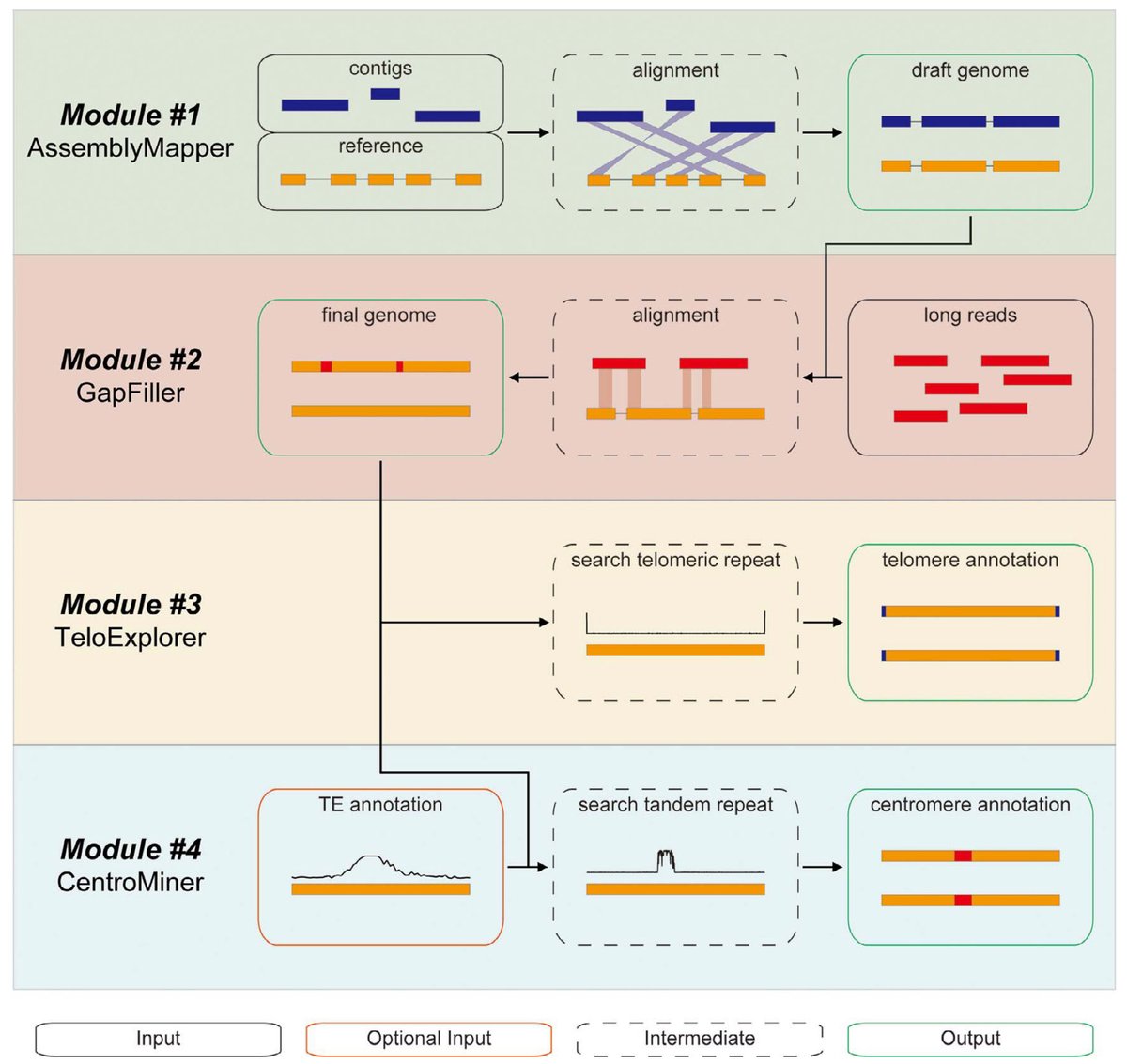 quarTeT: a telomere-to-telomere toolkit for gap-free genome assembly and centromeric repeat identification academic.oup.com/hr/article/10/…