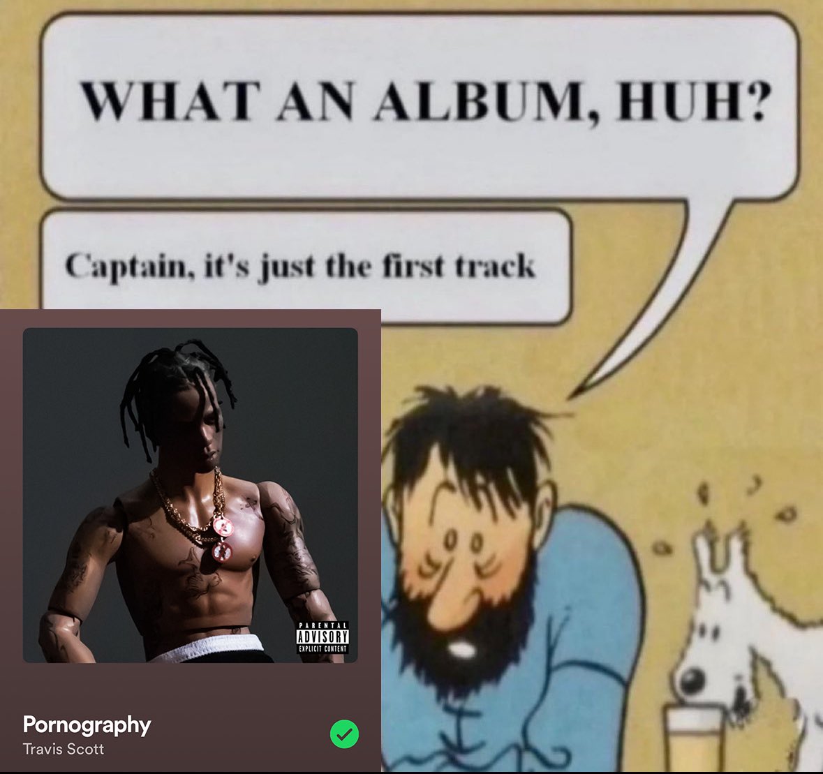 Tervis Scoot tweet media