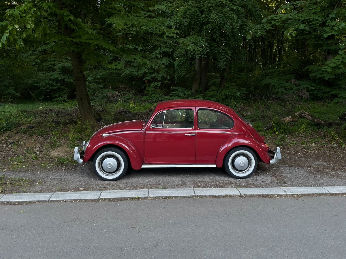 Margo_Happy's tweet photo. Мне попадаются только красного цвета 🐞 https://t.co/SPy59QAKRn