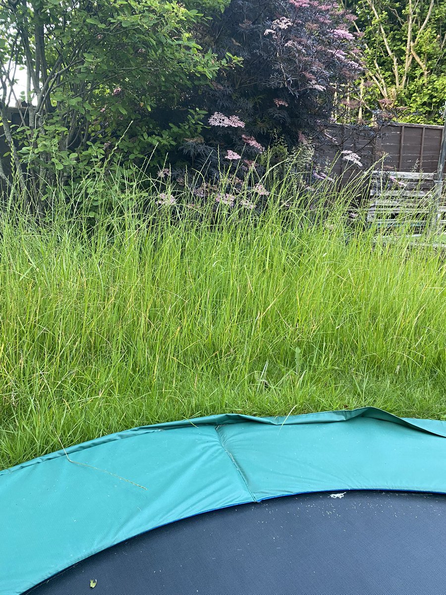 Helen Griffith tweet media