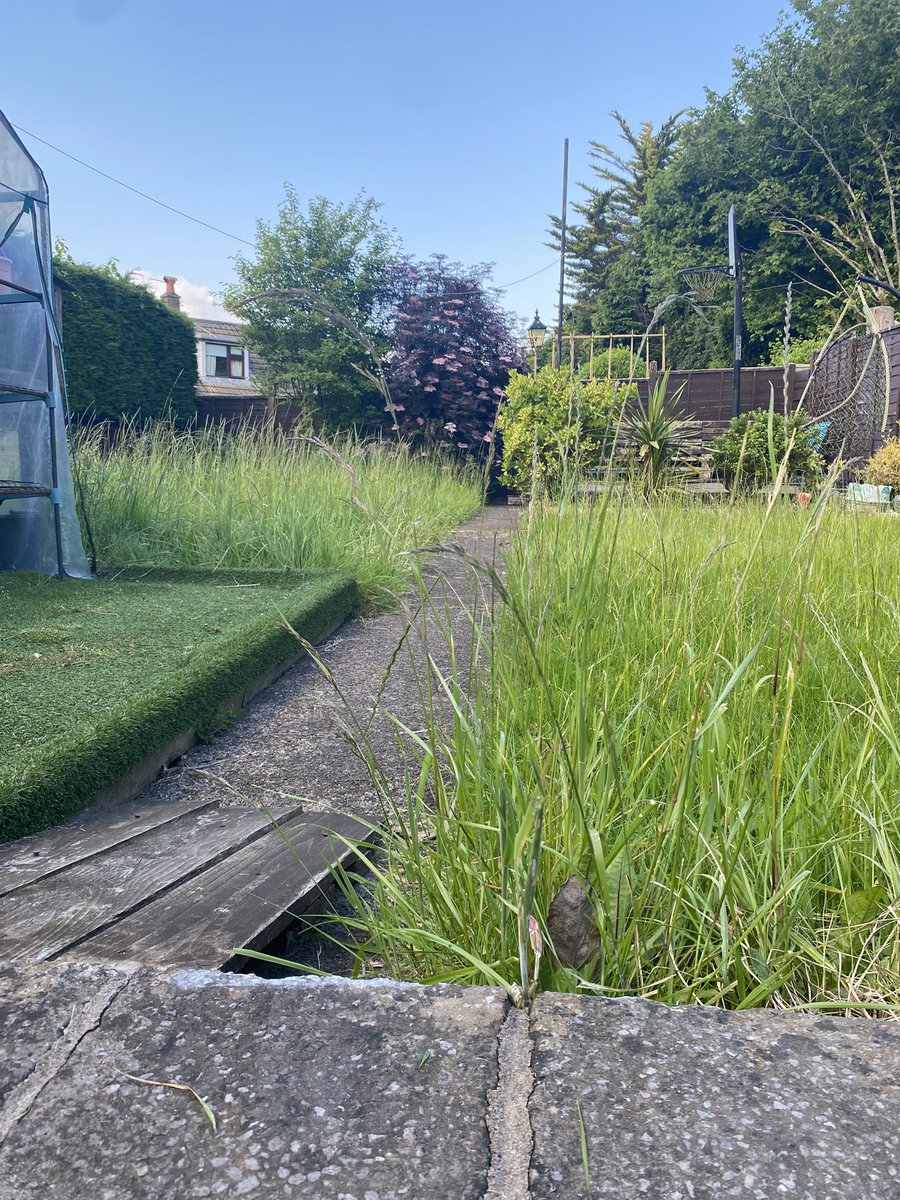 Helen Griffith tweet media