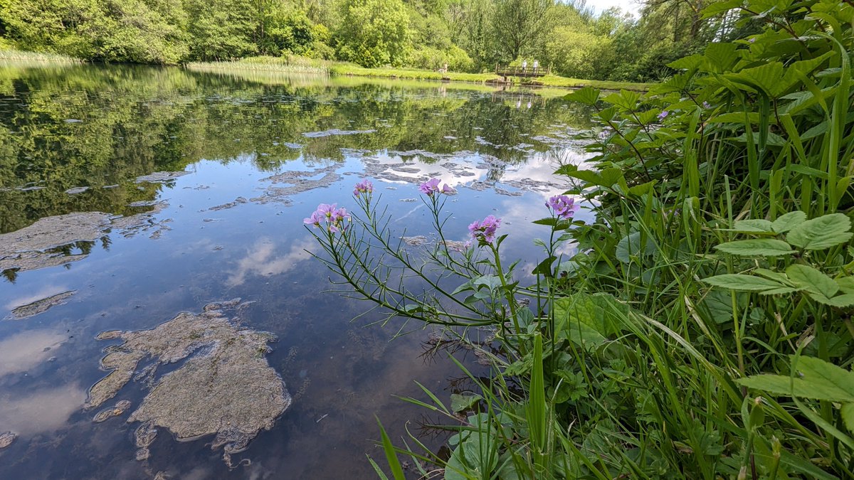 Tom Ward tweet media