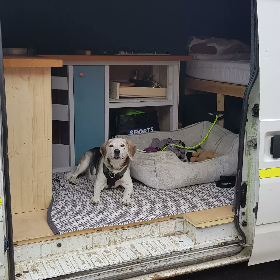 BarneyTBeagle's tweet photo. Went to the beach in the new campervan. The people had chips. I love chips, and campervans! https://t.co/ZeOhDgMpDj
