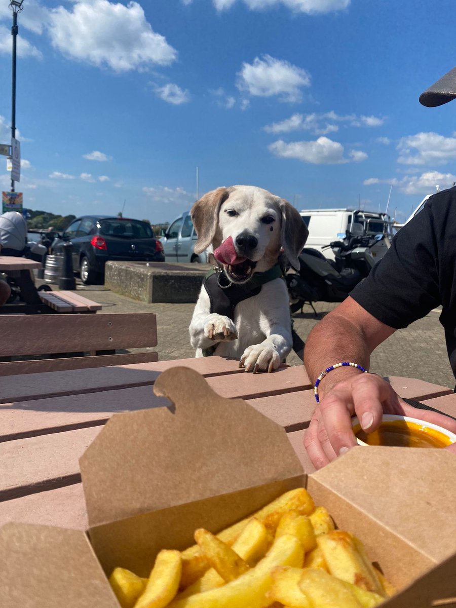 Went to the beach in the new campervan. The people had chips. I love chips, and campervans!