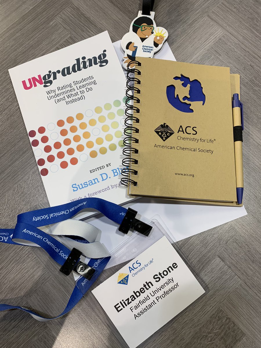 Elizabeth Stone tweet media