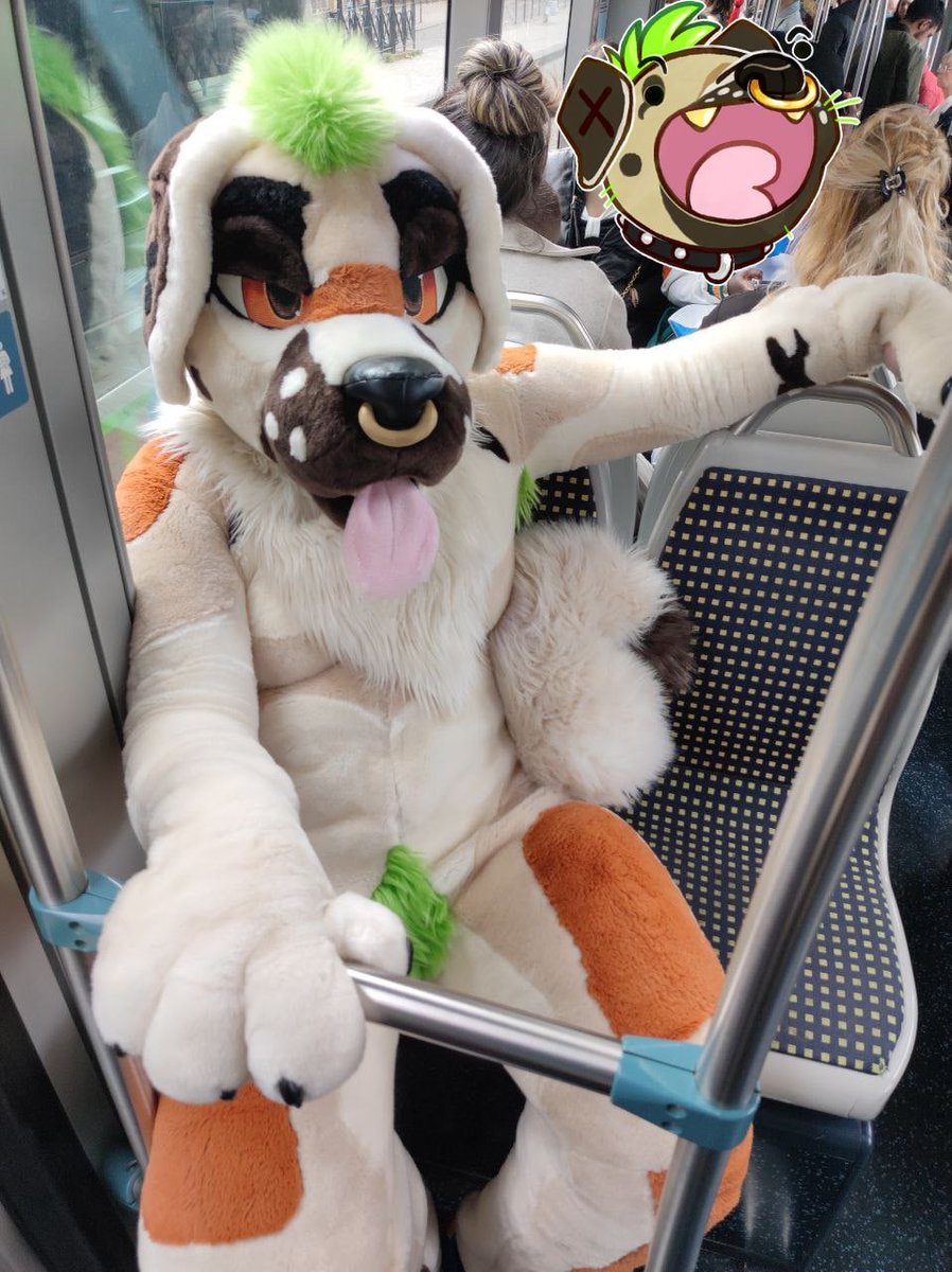 Big doggo in the tram for Bordeaux's pride yesterday, was real fun but real hot am ded 🐶💦
📸@Teyk_Fursuit