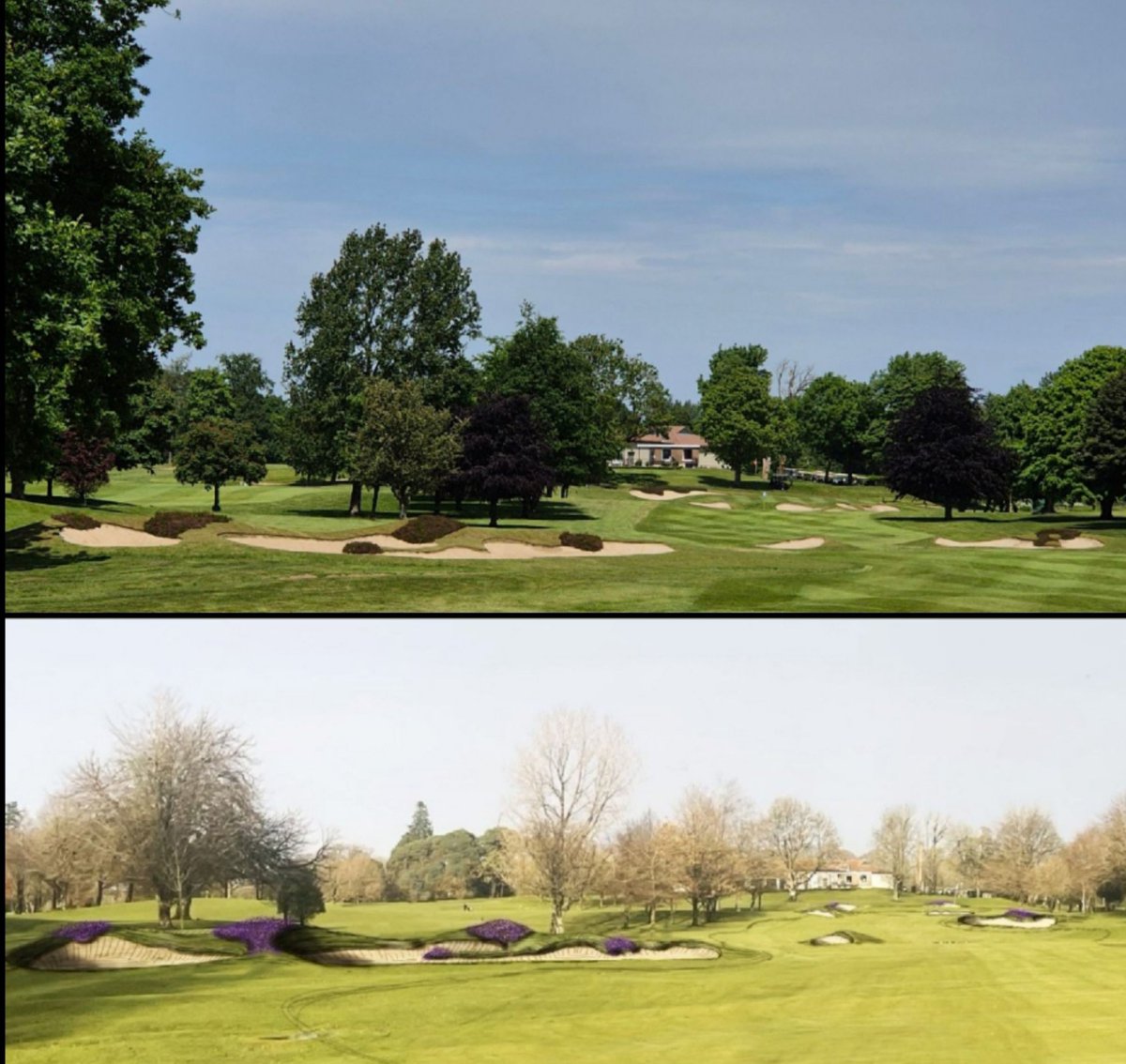 Colin D'Arcy tweet media