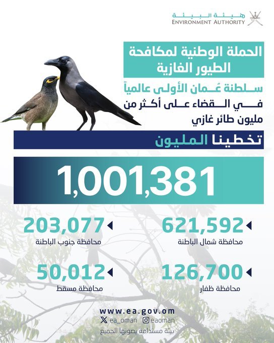 AliAkaak77's tweet photo. عندما تمتلك الإرادة الوطنيه والجرأة في إتخاذ القرار تحقق الطموح سلطنة عمان تتخطىمكافحة   عدد المليون طائر غازي   ممثلة في  @ea_oman بحيث تكون  أول دولة على مستوى العالم تنجح في القضاء على أكبر عدد من الطيور الغازية.
جهود حثيثة تبذلها هيئة البيئه للحفاظ على البيئة وصون مواردها . https://t.co/ppPgD1KWQR