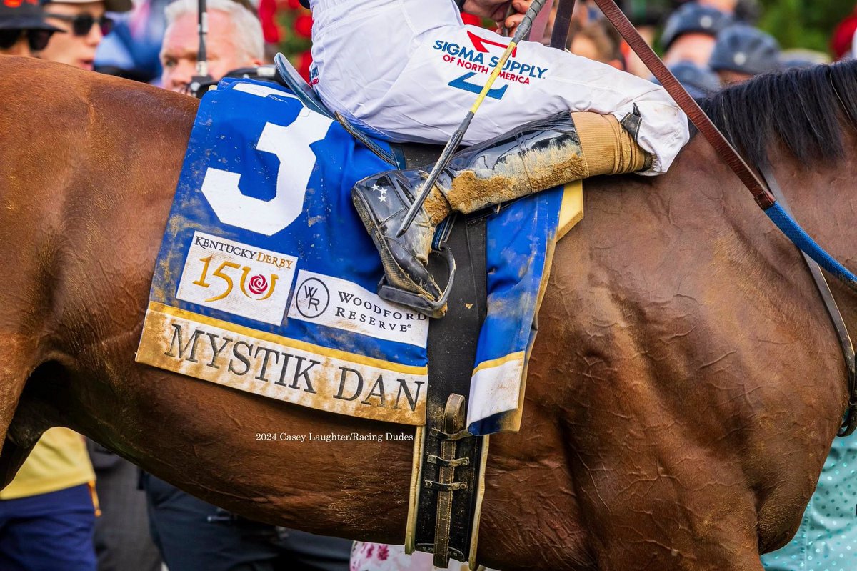 Mystik Dan is a go for @belmontstakes! 🥳  See you all next Saturday in Saratoga. 
📸: @cl_images1 <a href="/racingdudes/">muhd hafiz</a> 

#brianhernandezjr #mystikdan #horseracing #belmontstakes #saratoga #jockey