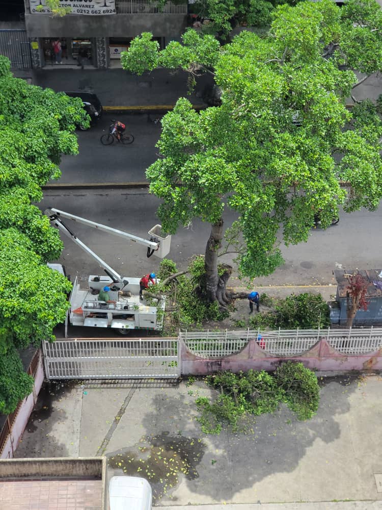 edwardm25's tweet photo. @gestionperfecta @Corp_libertador @AlcaldiaDCcs Ya mi Mamá salió de la Operación por la Negligencia de la Alcaldía de Caracas ocasionando un Accidente por un tronco de árbol en su pierna derecha causando fractura del femur. Necesitamos que hagan acto de Presencia por favor para asumir los Gastos. https://t.co/c3ZQJPrspE
