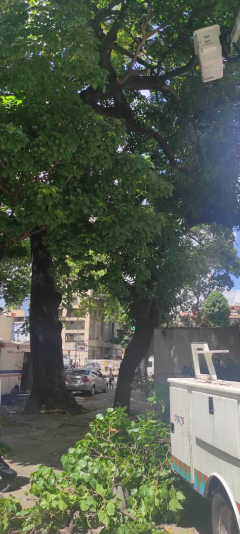 edwardm25's tweet photo. @gestionperfecta @Corp_libertador @AlcaldiaDCcs Ya mi Mamá salió de la Operación por la Negligencia de la Alcaldía de Caracas ocasionando un Accidente por un tronco de árbol en su pierna derecha causando fractura del femur. Necesitamos que hagan acto de Presencia por favor para asumir los Gastos. https://t.co/c3ZQJPrspE