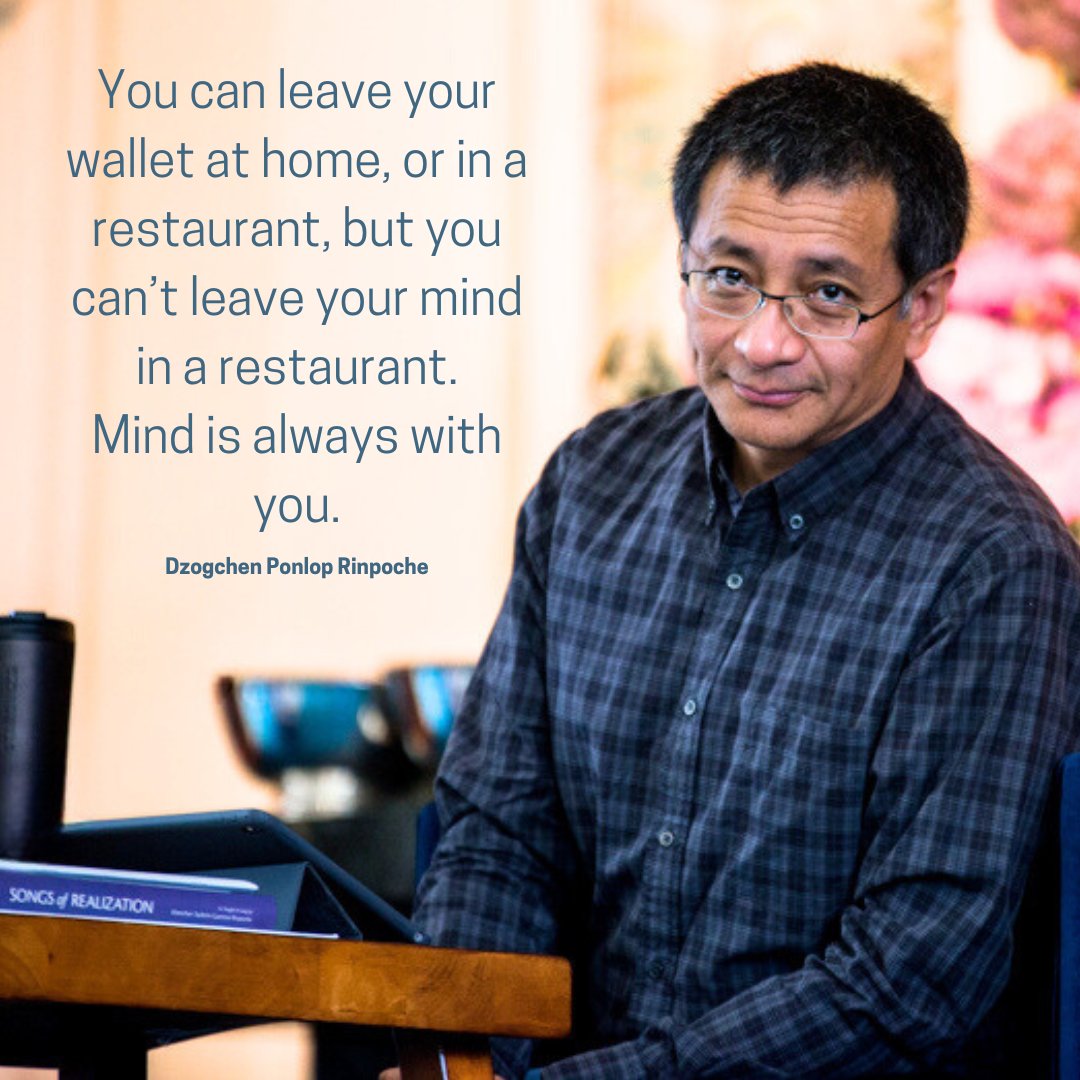 Dzogchen Ponlop R. tweet media