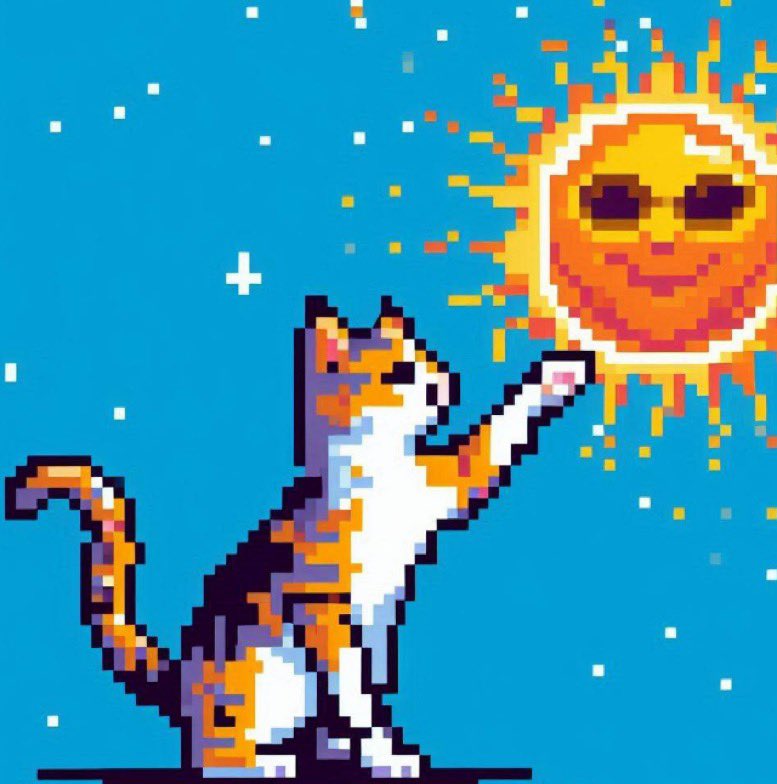 Zachkag's tweet photo. CAT•GO•TO•THE•SUN https://t.co/M6tWcLgGMf