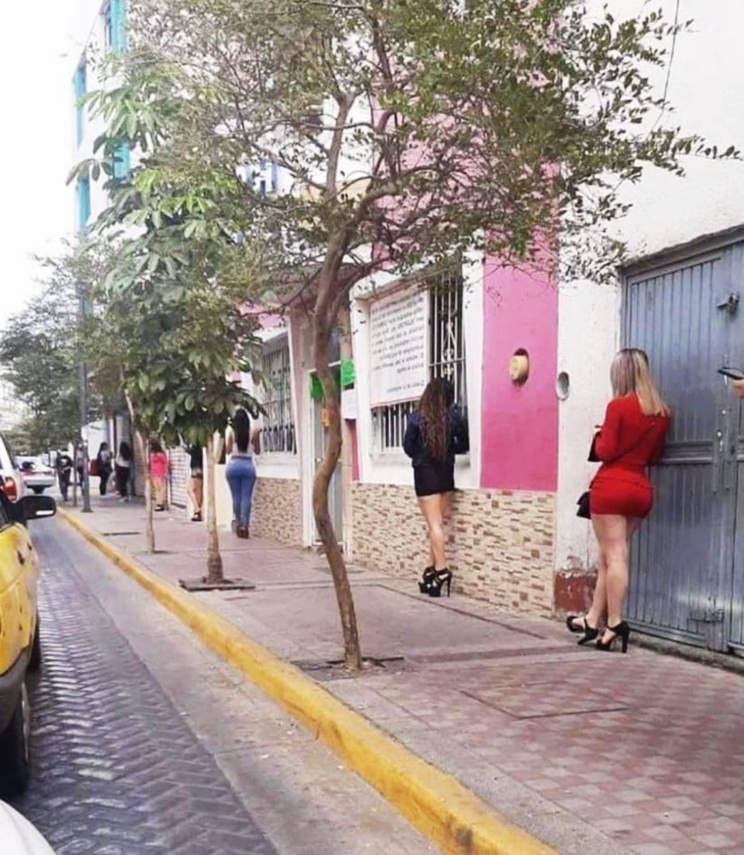 ¿Ya salieron a votar?