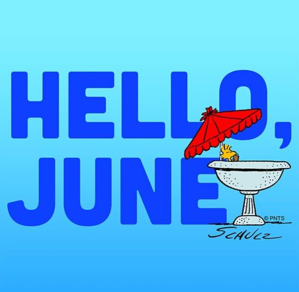 Peanuts_4Fans's tweet photo. Hello, June! #Peanuts https://t.co/qiSSG8lSte