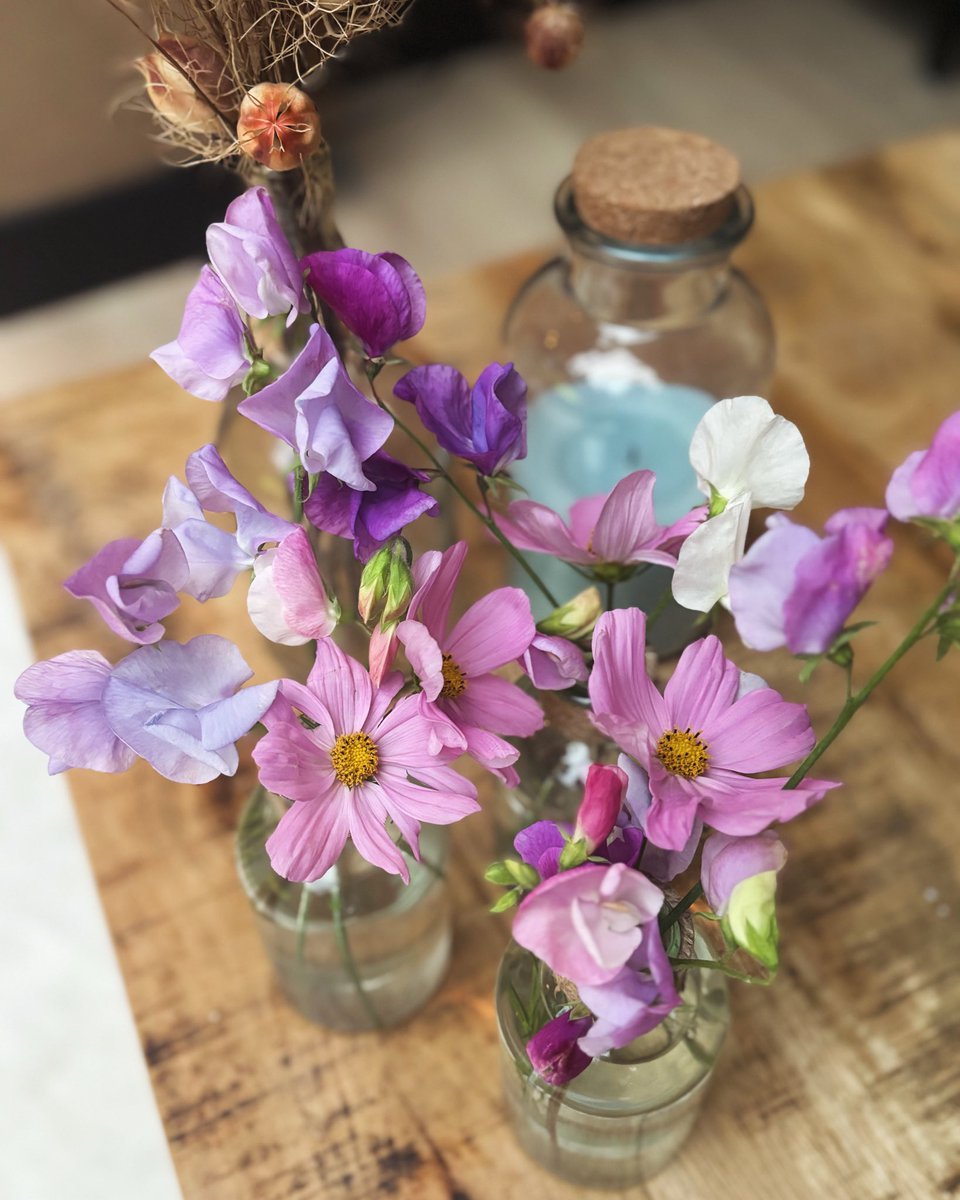 Roffahof's tweet photo. Pluk je dag! #lathyrus #siererwt #cosmea #moestuin https://t.co/9RRUDvVqXq