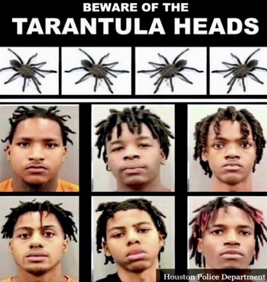 ff3k1984's tweet photo. @UltraDane Never relax around a Tarantula Head! https://t.co/RJ3ymMwQ9X