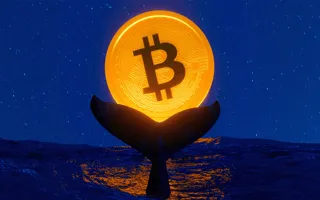dsctlzscrypto's tweet photo. Con el onchain puedes rastrear, seguir y copiar a esos inversores que tienen información privilegiada

Incluso aquellos que mueven millones 🐋

En este hilo te muestro la manera más sencilla de encontrar y seguir estos inversores

🧵