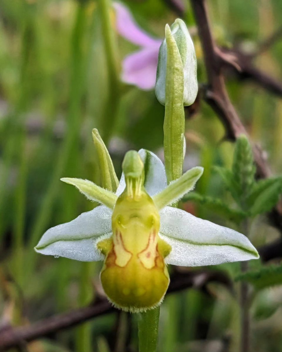 Jonni Price tweet media