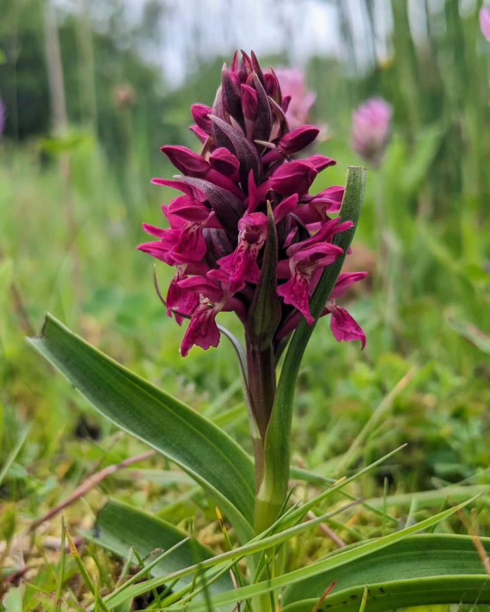 Jonni Price tweet media