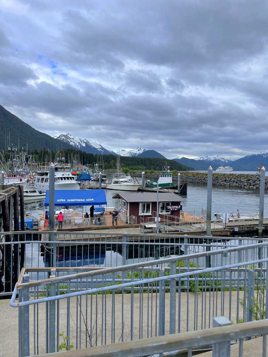 drallymay's tweet photo. Made it to Sitka, Alaska! Will be here for the next 4 weeks working as an emergency doc & hospitalist for @SEARHCTweets! #elective #summerinalaska #combinedlife #emfm @christianacare @ChristianaEMed https://t.co/bR6A24tgZH