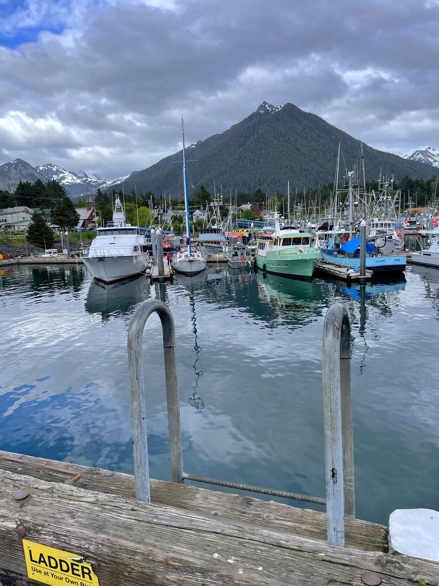 drallymay's tweet photo. Made it to Sitka, Alaska! Will be here for the next 4 weeks working as an emergency doc & hospitalist for @SEARHCTweets! #elective #summerinalaska #combinedlife #emfm @christianacare @ChristianaEMed https://t.co/bR6A24tgZH
