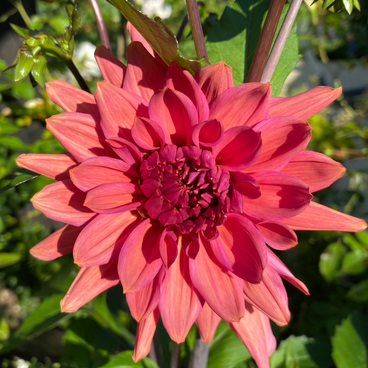 Sophie B tweet media