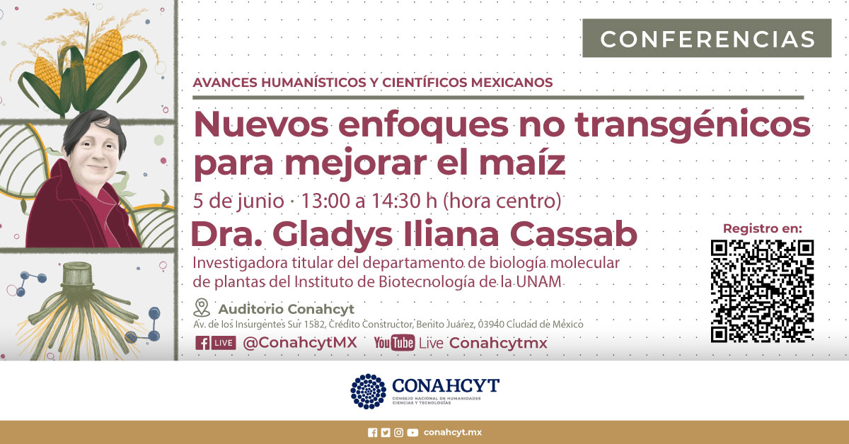 Secihti_Mx's tweet photo. El #Conahcyt invita seguir la transmisión en vivo de la conferencia "Nuevos enfoques no transgénicos para mejorar el maíz", impartida por la Dra. Gladys Iliana Cassab, del ciclo Avances Humanísticos y Científicos Mexicanos.

🗓️ 5 junio 2024
🕐 13:00 h
➡️ https://t.co/Qr4903A5LT https://t.co/IKn0ajl9UB