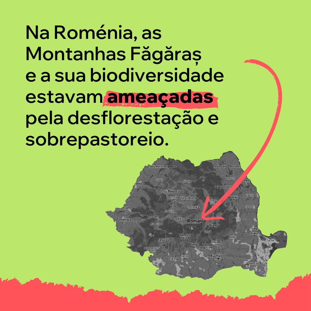 spea_birdlife's tweet photo. 🌳 A União Europeia é capaz de salvar espécies. Ainda vamos a tempo de recuperar a Natureza que nos resta. Mas precisamos de eurodeputados que reconheçam o valor fulcral da Natureza.

🗳️ VOTE nas #EleiçõesEuropeias

https://t.co/14Ti9MxRX6

#votefutureEU
#EUelections #UseYourVote https://t.co/iO4aMoKArt